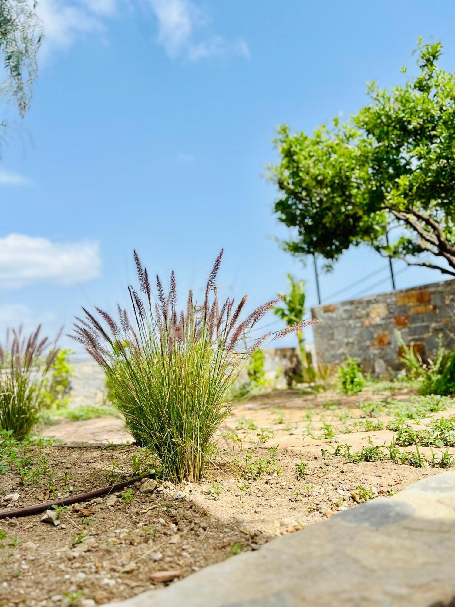 Gioma Garden Villas Istron エクステリア 写真